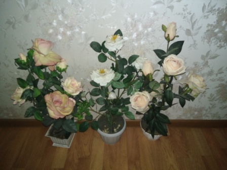 448x336  59 KB. Big one: 4160x3120  2074 KB