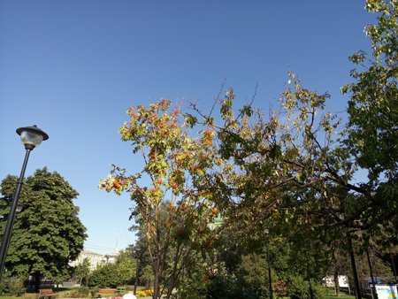 450x338  216 KB. Big one: 5248x3936  10330 KB