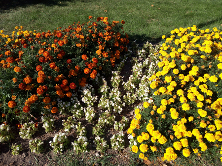 450x338  304 KB. Big one: 5248x3936  12656 KB