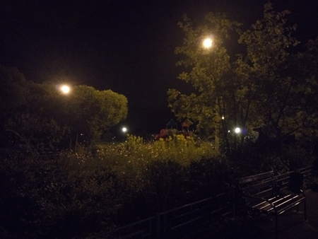 450x338  113 KB. Big one: 5248x3936  4542 KB