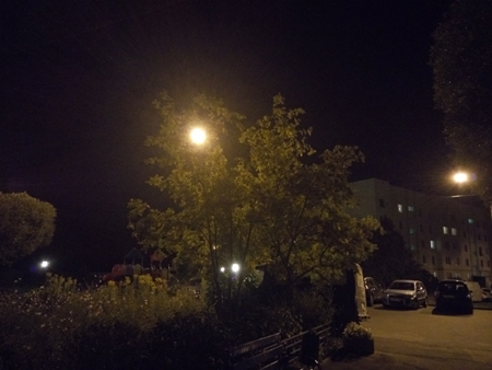 450x338  113 KB. Big one: 5248x3936  4701 KB