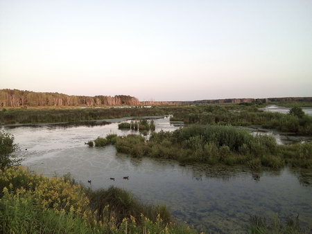 450x338  36 KB. Big one: 3264x2448  3486 KB