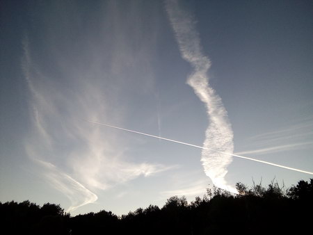 450x338  24 KB. Big one: 3264x2448  2880 KB