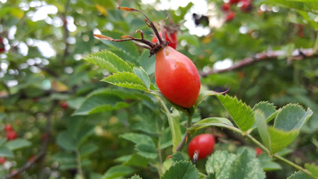 450x253  56 KB. Big one: 5312x2988  1818 KB