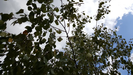 450x253  52 KB. Big one: 5312x2988  2395 KB