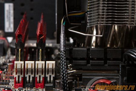 450x303  105 KB. Big one: 1500x1009  372 KB