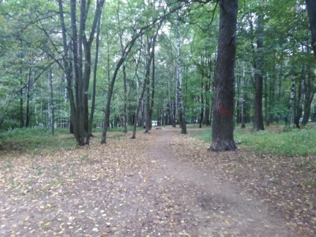 448x336  68 KB. Big one: 2592x1944  1605 KB