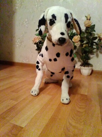 336x448  47 KB. Big one: 1200x1600  694 KB