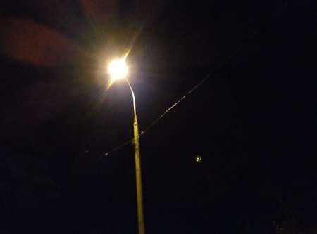 450x333  60 KB. Big one: 4192x3104  1255 KB