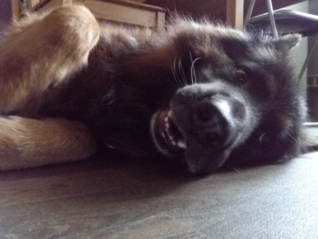 450x338  55 KB. Big one: 2576x1936  883 KB