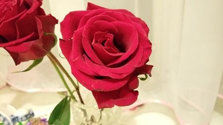 450x253  32 KB. Big one: 5376x3024  3168 KB