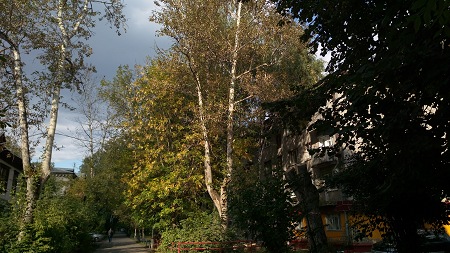 450x253  68 KB. Big one: 5376x3024  6878 KB