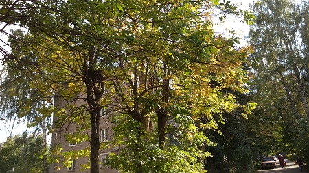 450x253  86 KB. Big one: 5376x3024  7202 KB