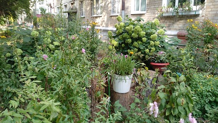 450x253  81 KB. Big one: 5376x3024  6282 KB