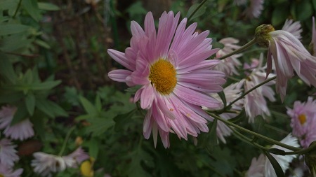 450x253  37 KB. Big one: 5376x3024  2948 KB