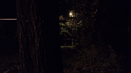 450x253  24 KB. Big one: 5376x3024  2455 KB