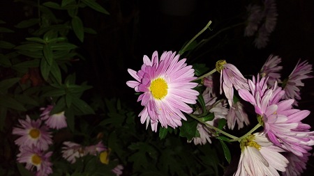 450x253  36 KB. Big one: 5376x3024  3244 KB