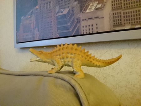 450x338  126 KB. Big one: 2592x1944  1326 KB