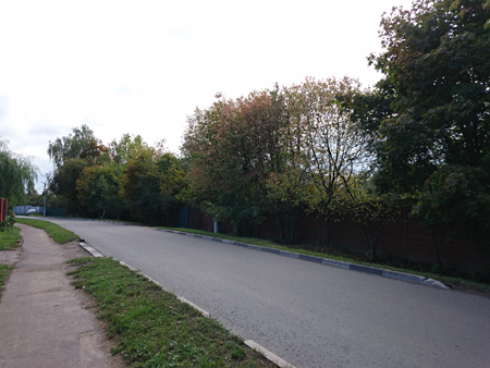 450x338  149 KB. Big one: 3264x2448  3127 KB