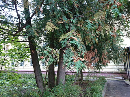 450x338  302 KB. Big one: 5248x3936  15877 KB