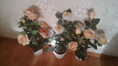 448x252  53 KB. Big one: 3264x1836  743 KB