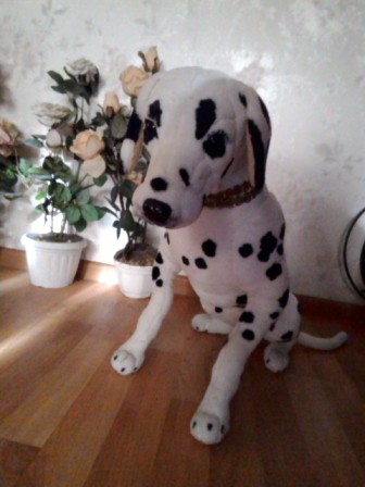 336x448  57 KB. Big one: 1920x2560  611 KB