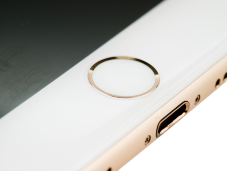 450x338  53 KB. Big one: 1500x1125  425 KB