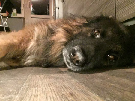 450x338  51 KB. Big one: 2576x1932  951 KB