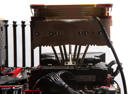 450x302  89 KB. Big one: 1500x1008  393 KB