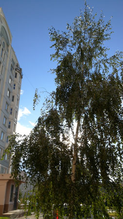 253x450  50 KB. Big one: 2340x4160  2195 KB