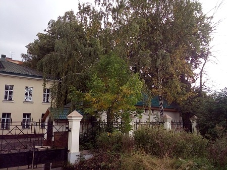 450x337  84 KB. Big one: 3264x2448  4410 KB