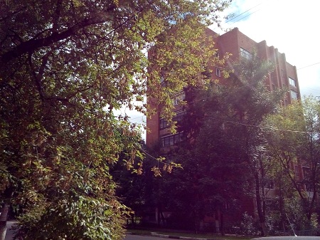 450x337  83 KB. Big one: 3264x2448  3670 KB