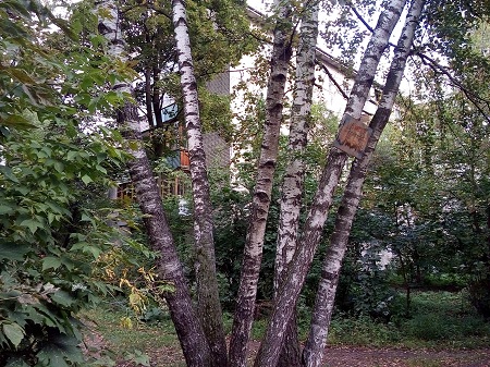 450x337  110 KB. Big one: 3264x2448  5642 KB