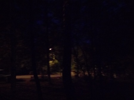 450x337  18 KB. Big one: 3264x2448  1204 KB