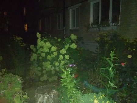 450x337  44 KB. Big one: 3264x2448  2717 KB