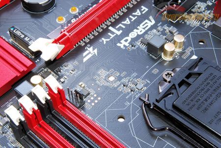 450x301  53 KB. Big one: 1500x1004  355 KB