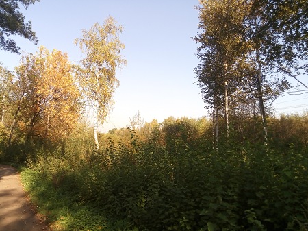 450x337  75 KB. Big one: 4160x3120  5579 KB