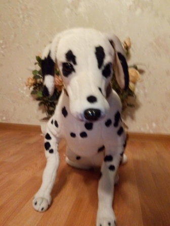 336x448  48 KB. Big one: 1920x2560  1308 KB