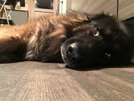 450x338  51 KB. Big one: 2576x1932  591 KB