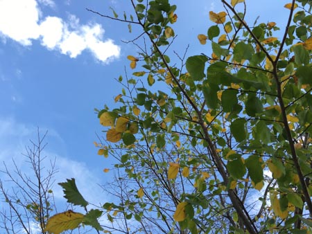 450x338  53 KB. Big one: 4032x3024  2377 KB