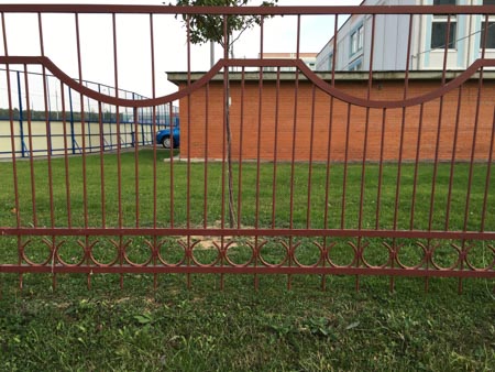 450x338  49 KB. Big one: 4032x3024  3104 KB