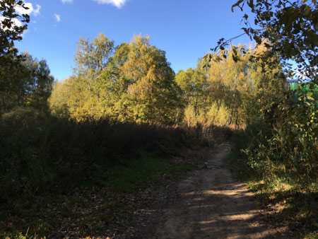 450x338  56 KB. Big one: 4032x3024  2513 KB