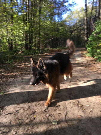 338x450  57 KB. Big one: 3024x4032  2145 KB