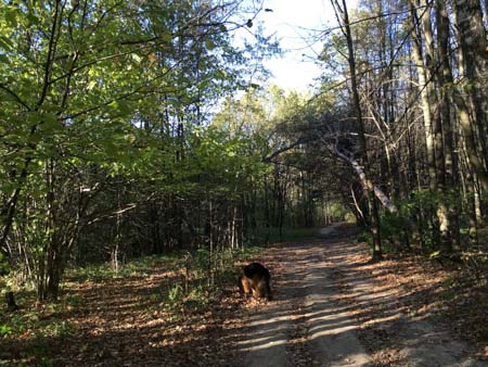 450x338  53 KB. Big one: 4032x3024  4295 KB