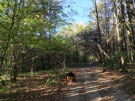 450x338  55 KB. Big one: 4032x3024  4446 KB