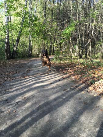 338x450  50 KB. Big one: 3024x4032  4062 KB