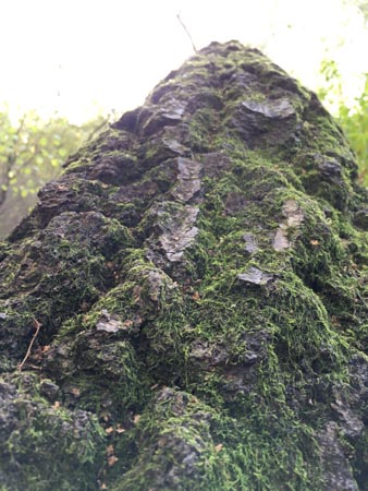 338x450  50 KB. Big one: 3024x4032  2177 KB