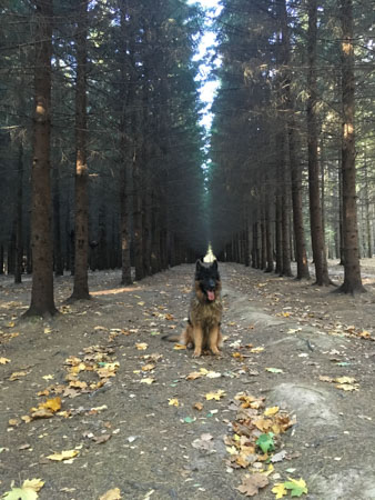 338x450  57 KB. Big one: 3024x4032  2644 KB