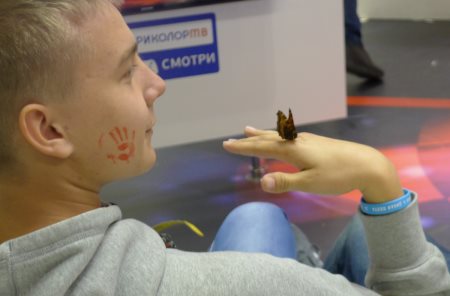 450x296  19 KB. Big one: 1500x988  128 KB