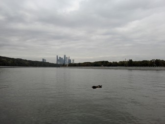 337x253  18 KB. Big one: 3264x2448  3414 KB